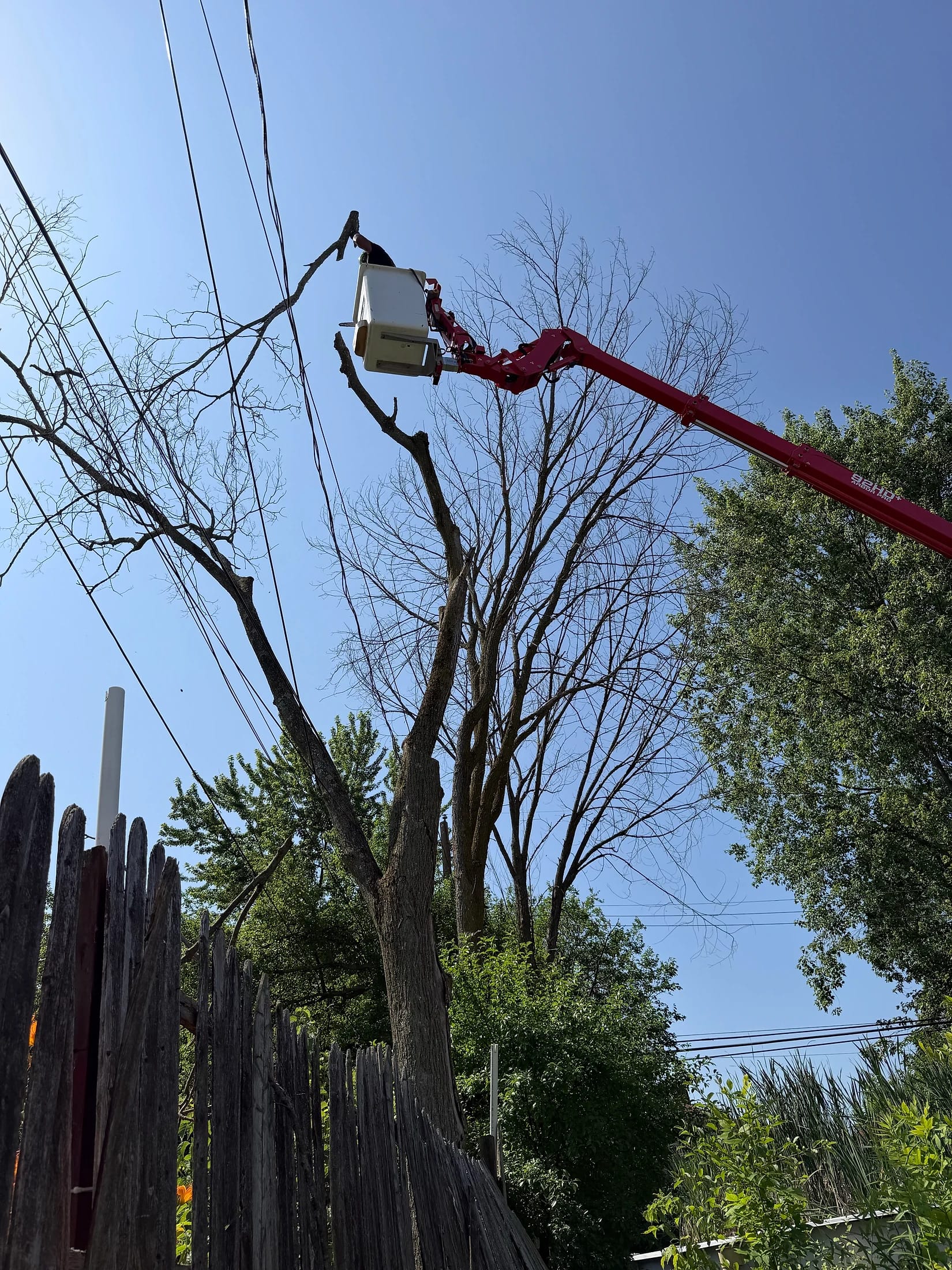 Bucket truck canopy work Buffalo NY