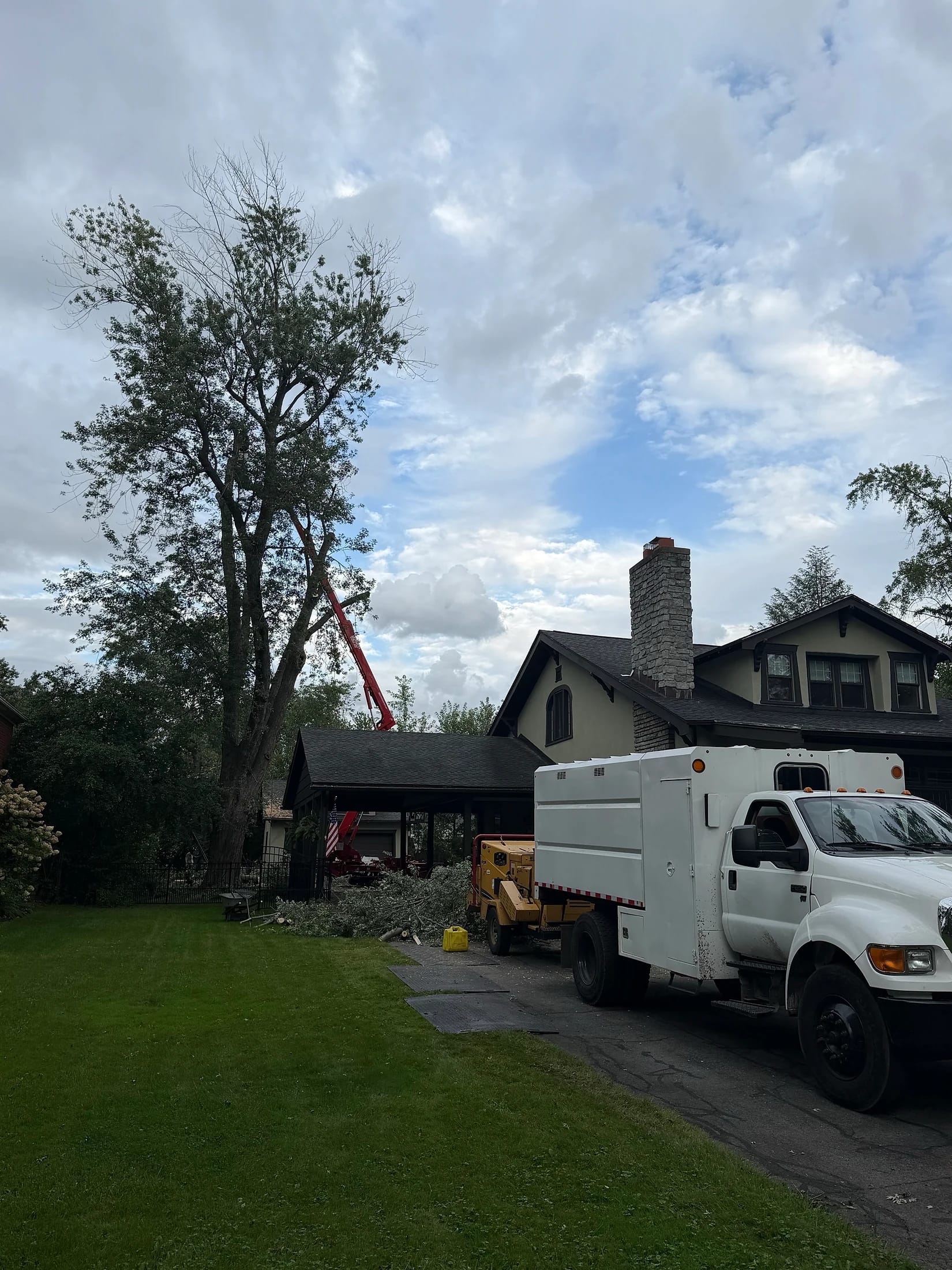 Chip truck and crane residential tree work Buffalo NY