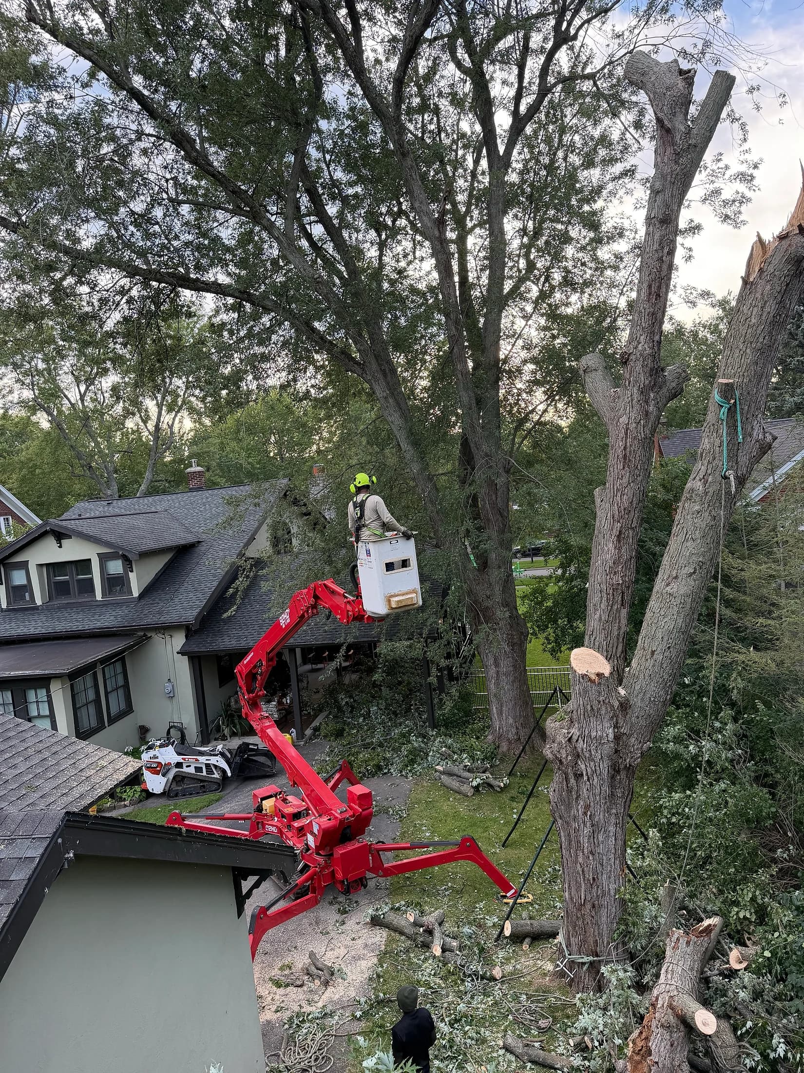Buffalo Tree Soldiers spider lift removing a large tree next to a Buffalo home