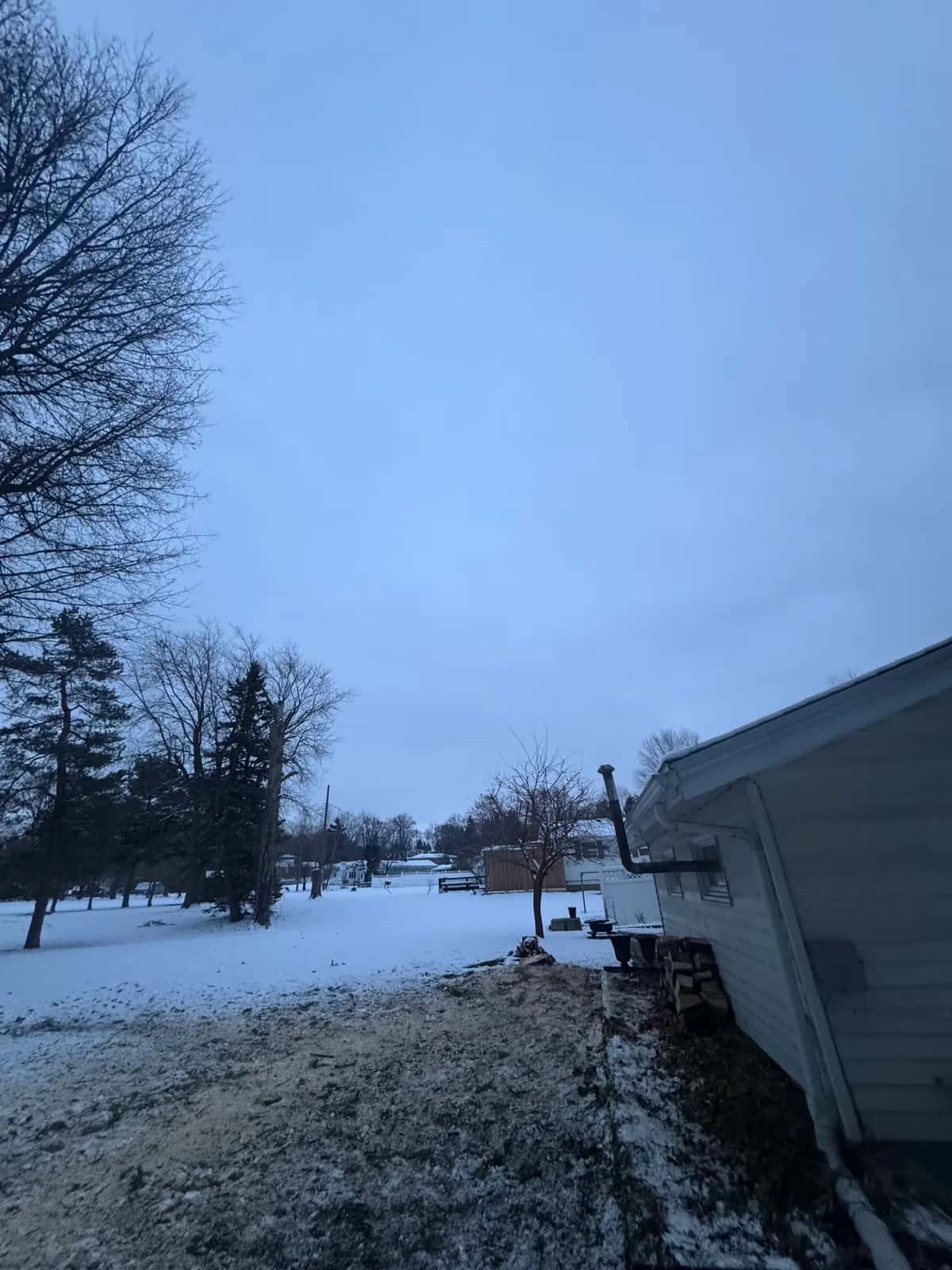 Buffalo Tree Soldiers crew providing professional tree service in Buffalo NY