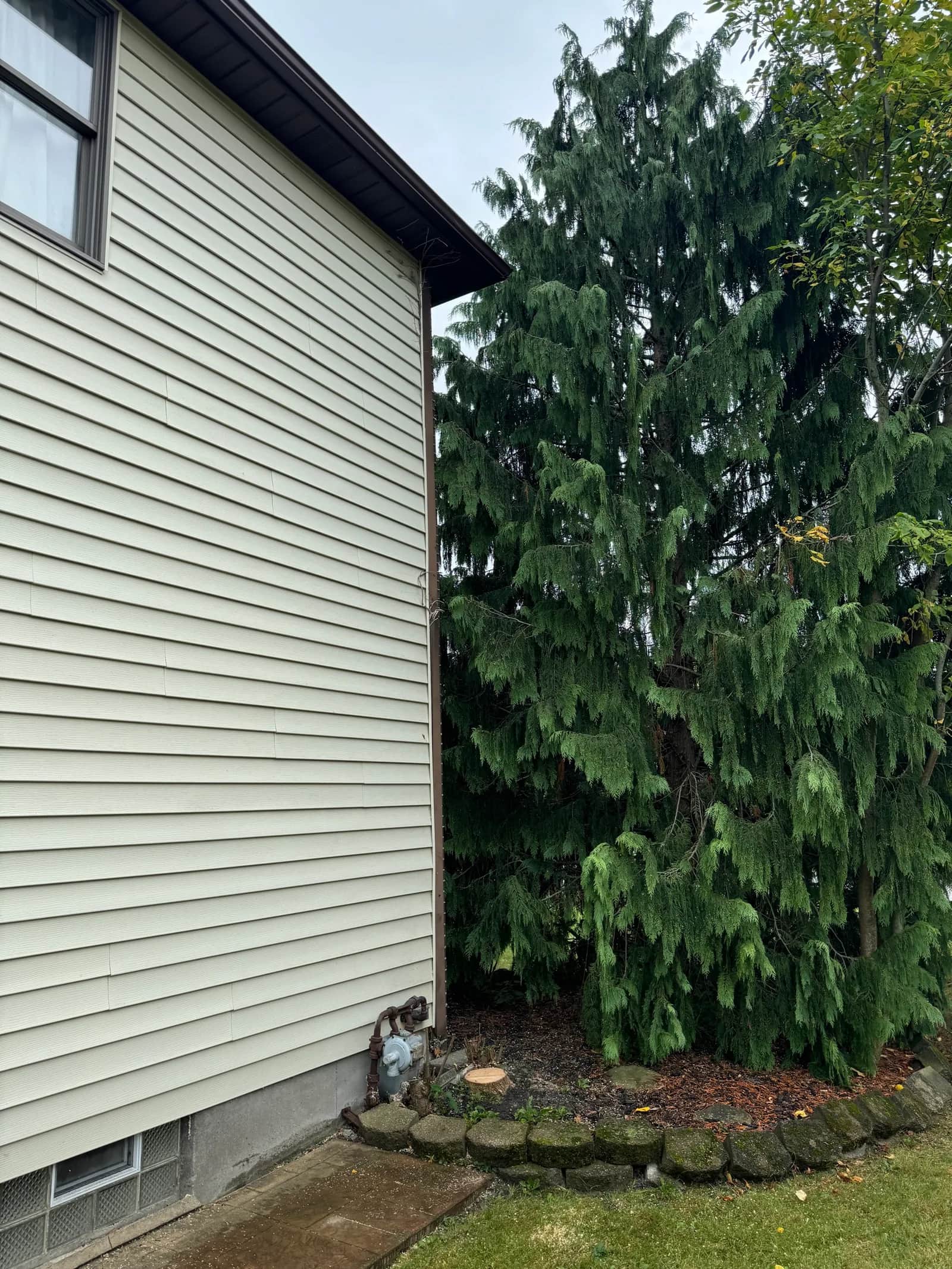 Small Tree Removal Cost in Buffalo NY