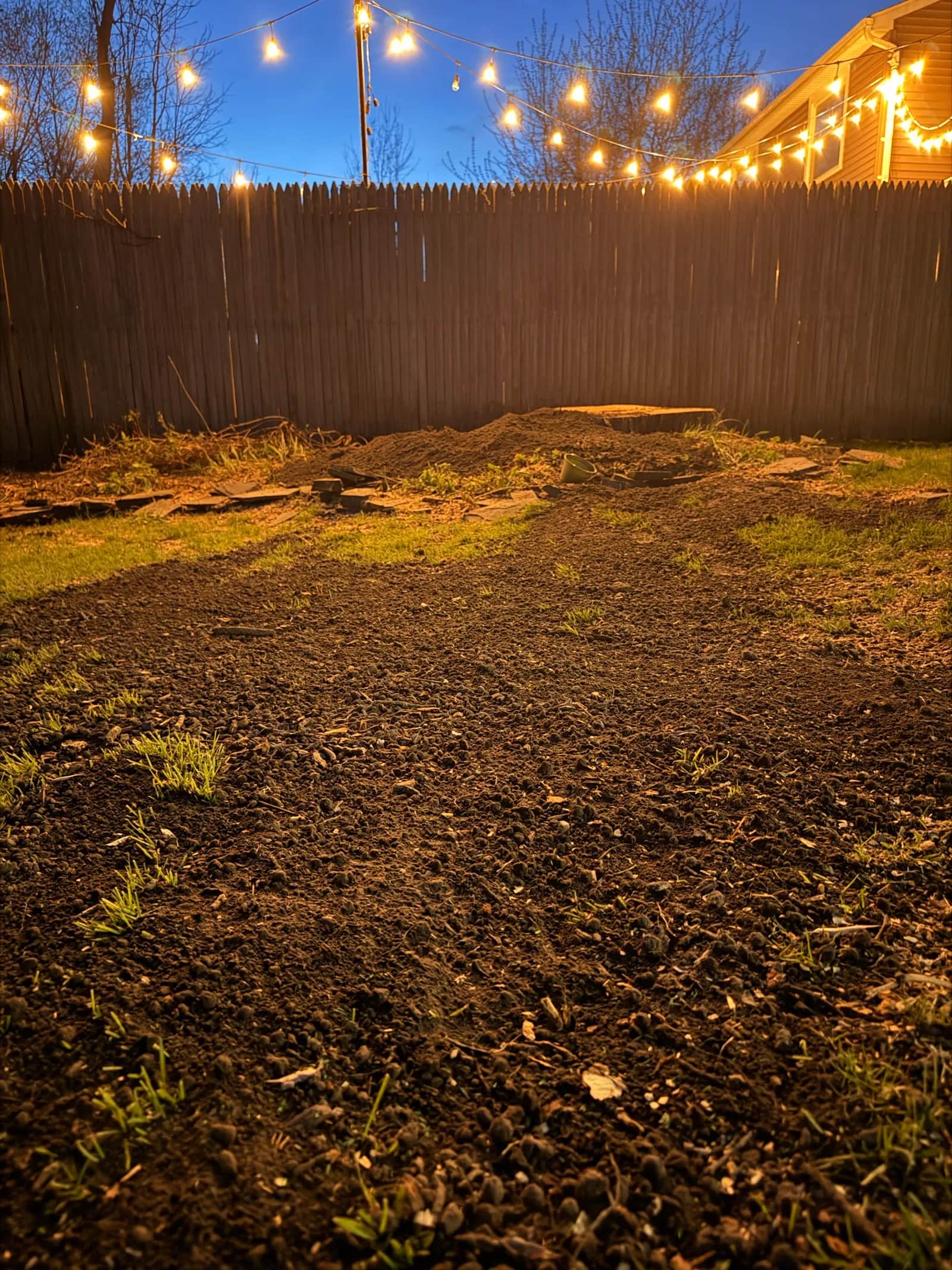 Tree Debris Cleanup After Removal: What's Included?