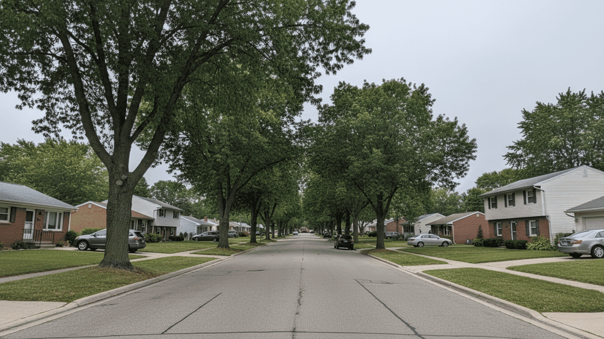 Tree service in Depew NY