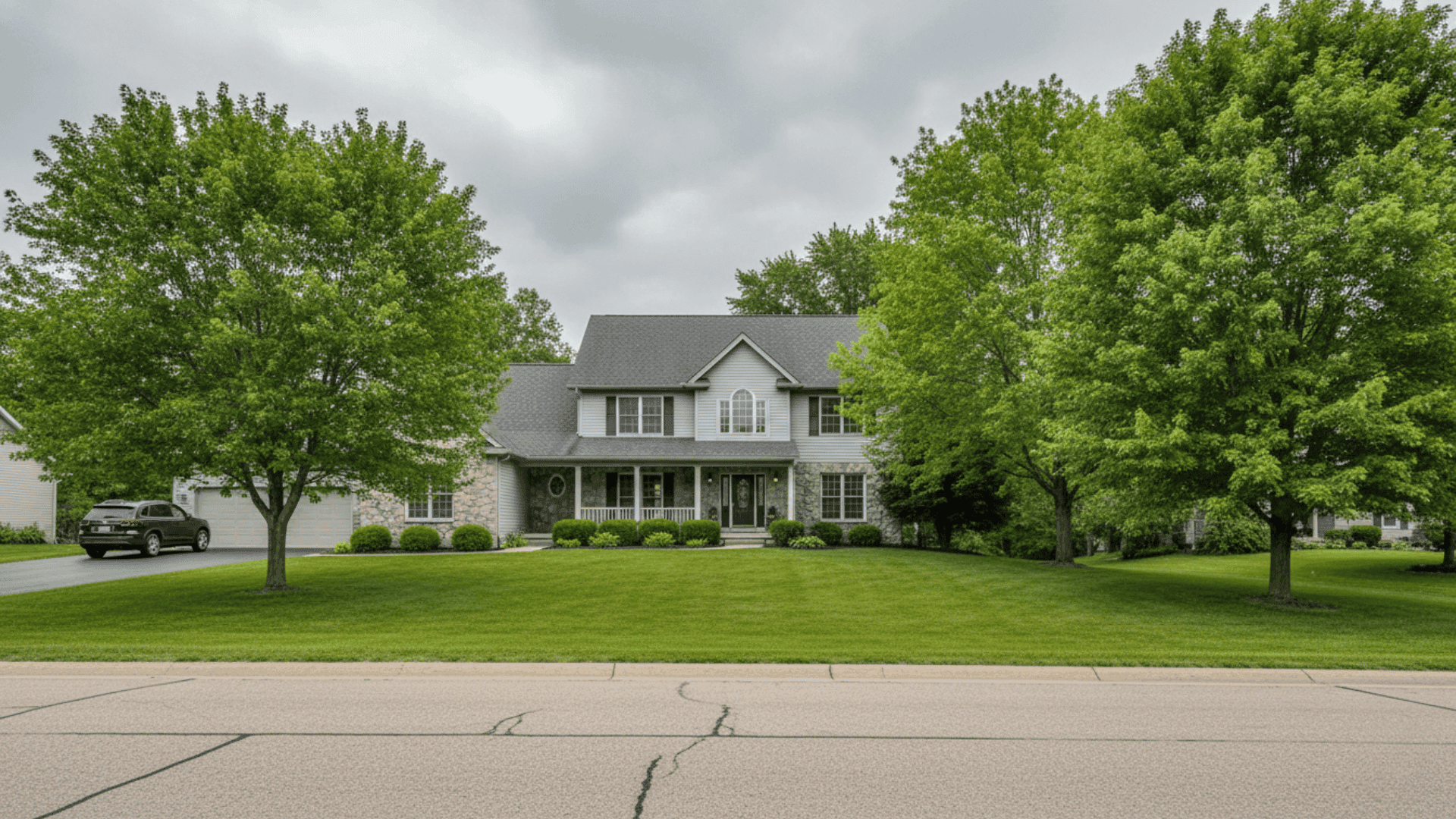 Tree service in Orchard Park NY