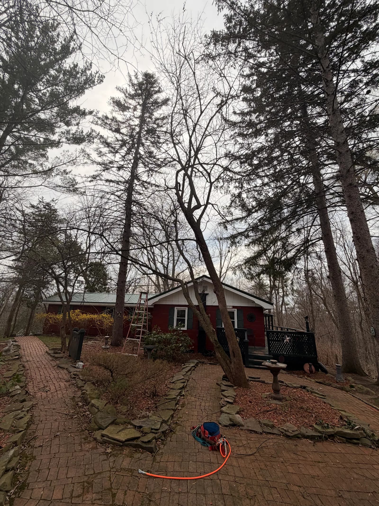 Emergency tree removal response in Buffalo NY after storm