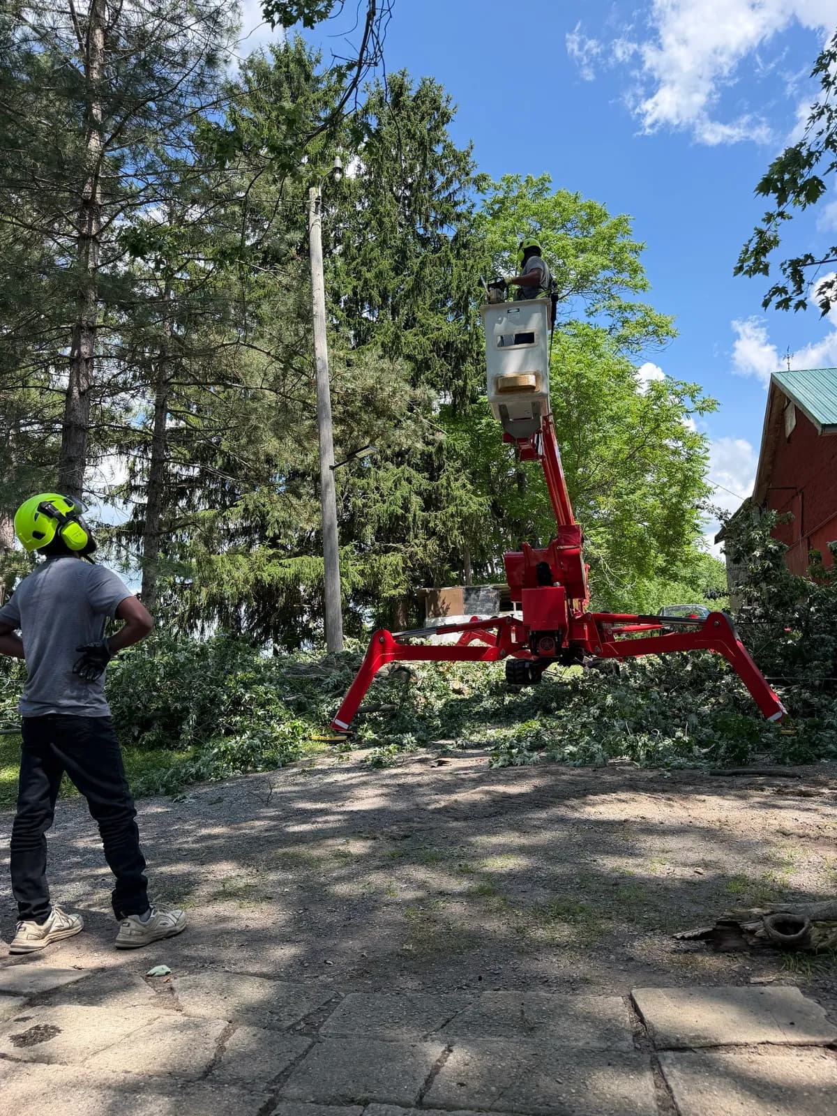 Aerial lift and tree crew performing large tree removal near a residential property in Buffalo NY