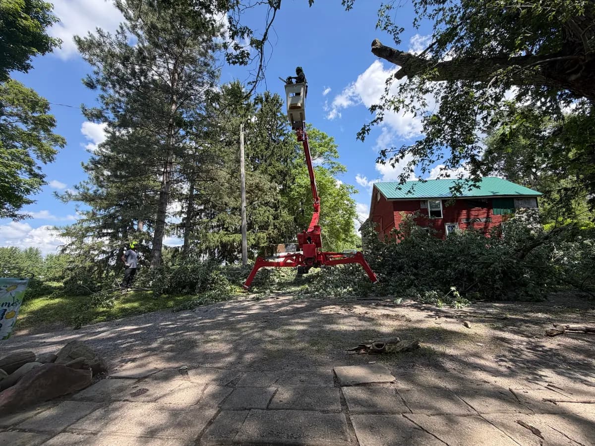 Residential tree service crew using an aerial lift to remove tree sections in a Buffalo NY backyard