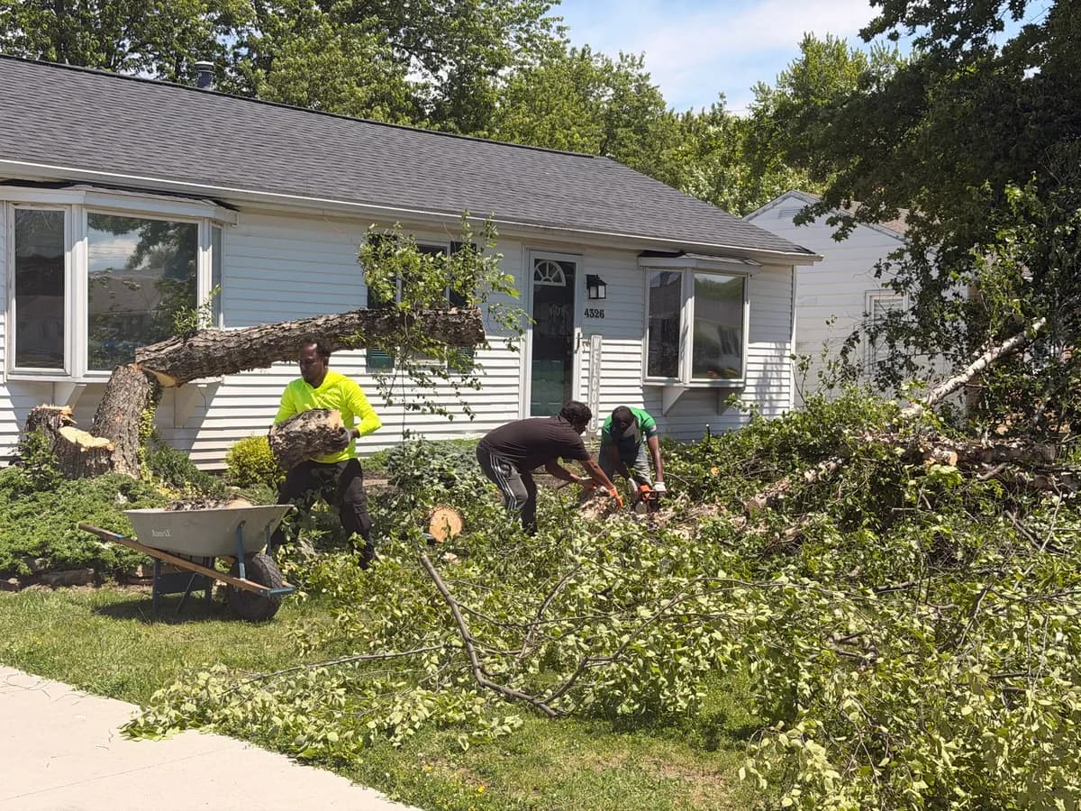 Tree service crew hauling cut logs and cleaning up after residential tree removal in Buffalo NY