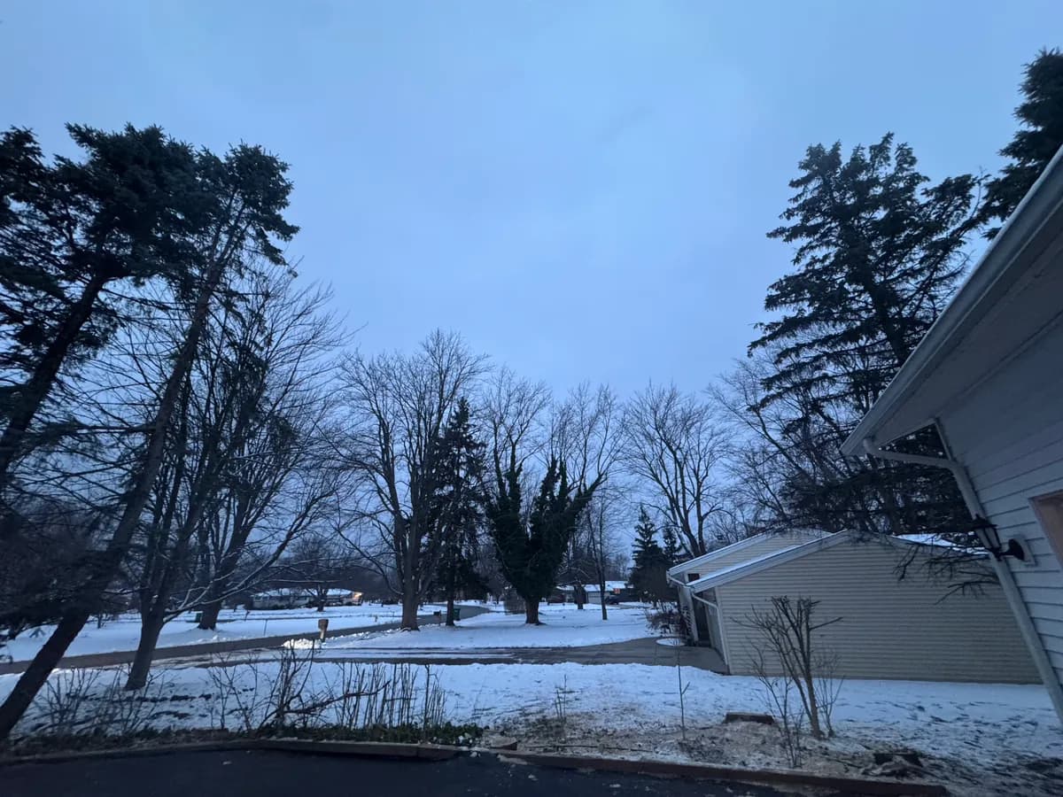winter branch collapse buffalo Buffalo NY