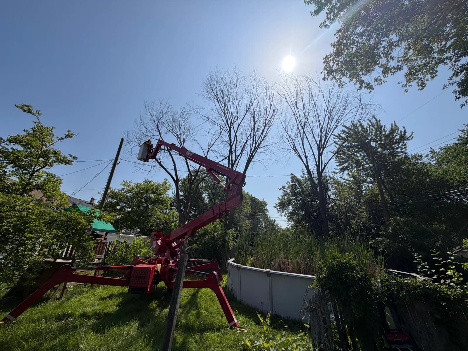 Tree removal permit considerations in Buffalo NY