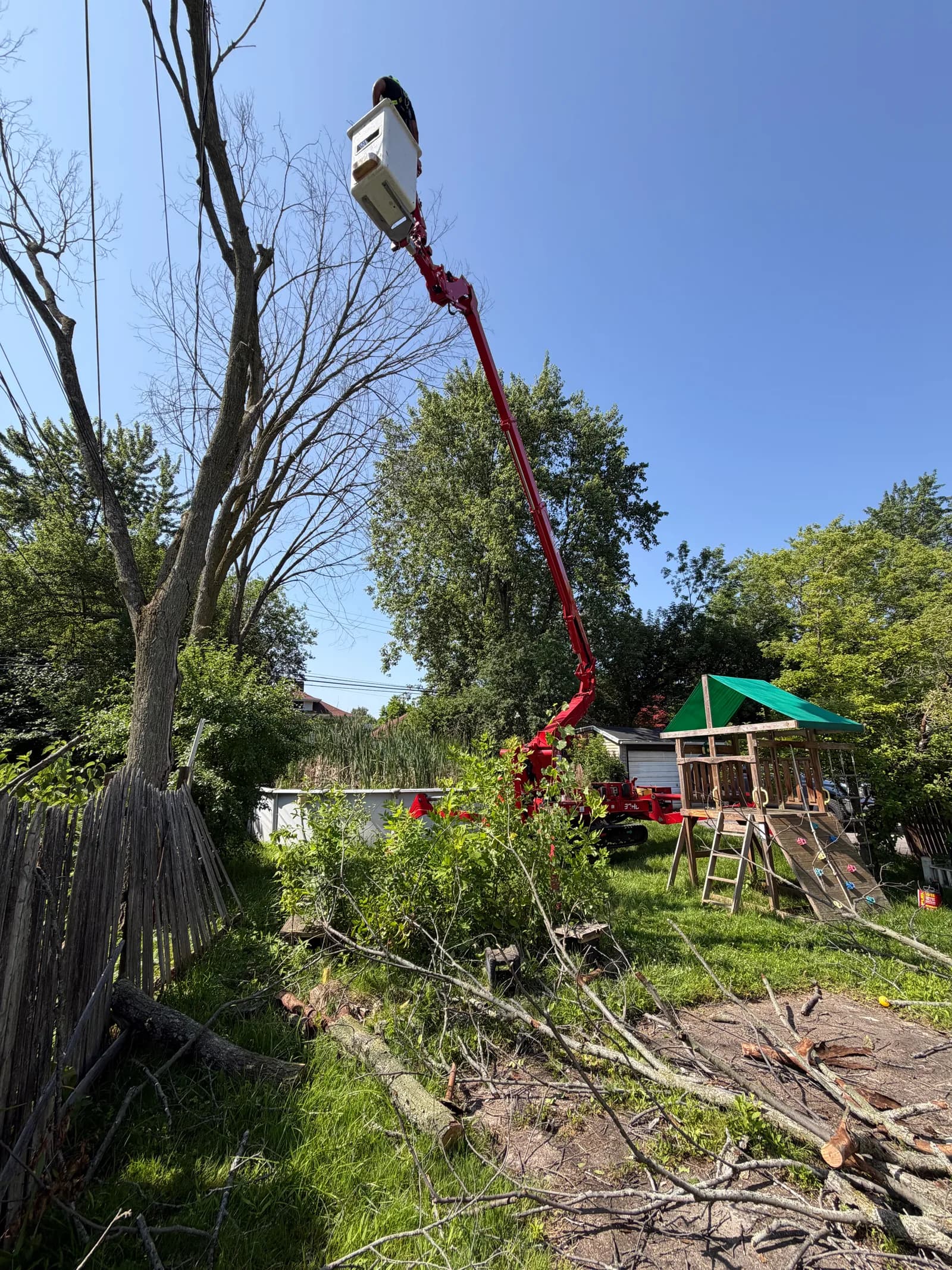 Fallen tree responsibility in Buffalo NY after storm