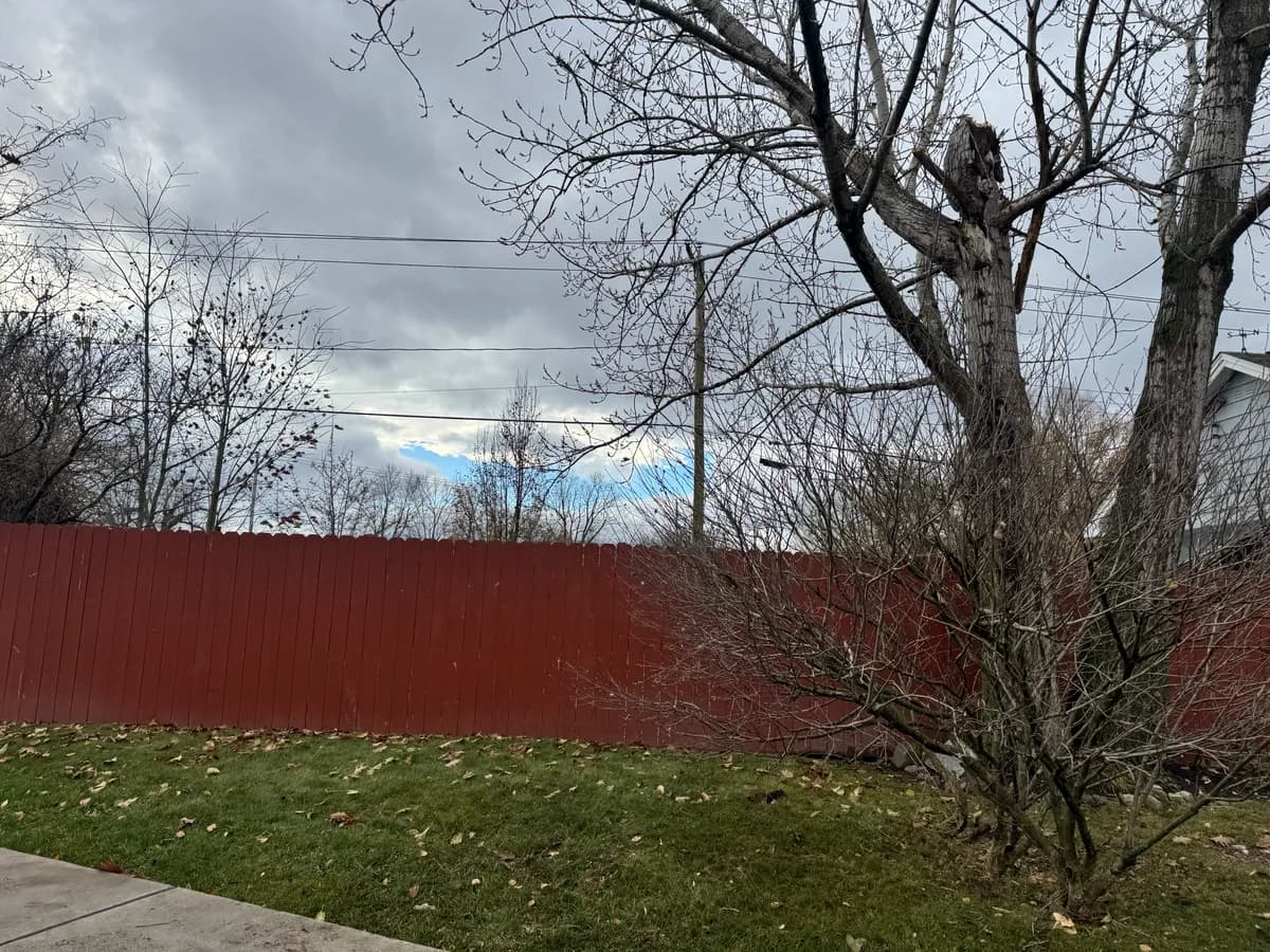 Professional tree service in tonawanda crew in Western New York