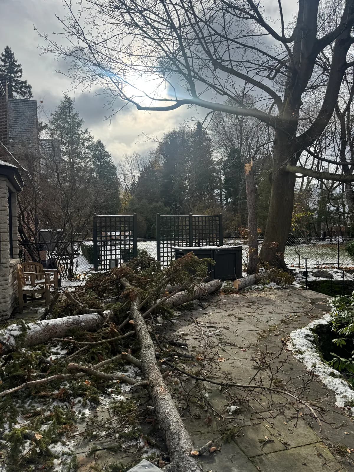Tree service project in Niagara Falls, NY
