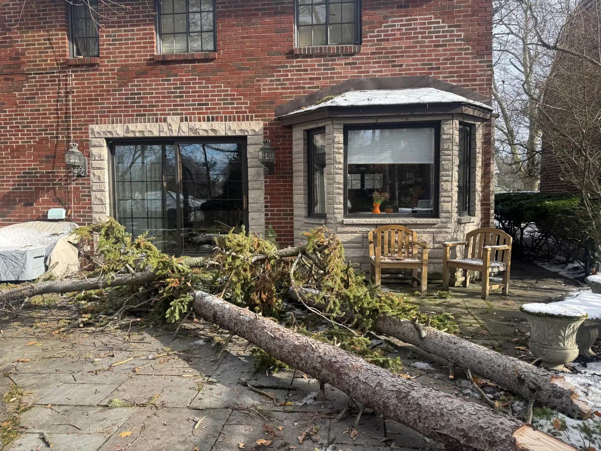 Professional tree service in niagara falls crew in Western New York