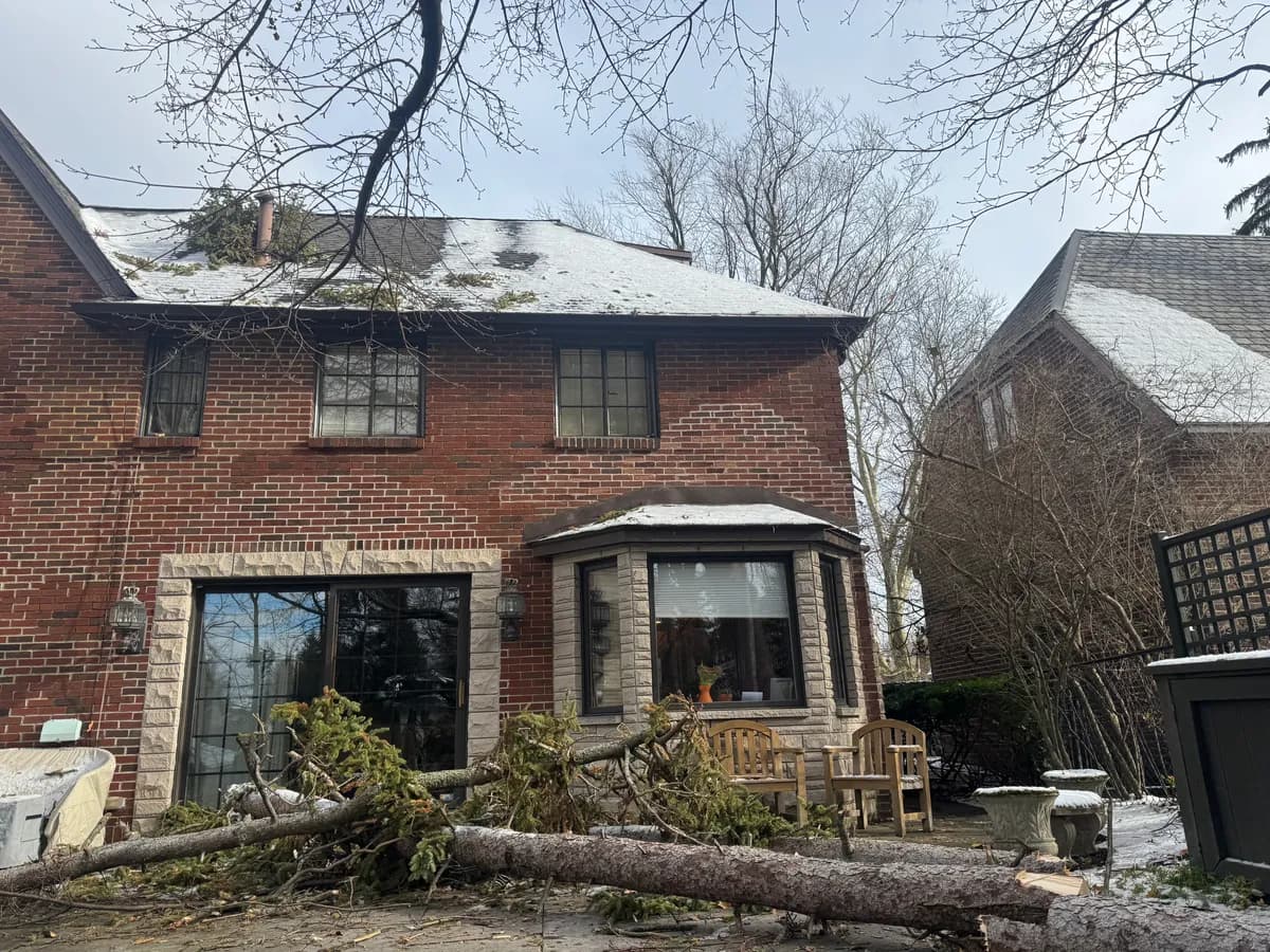 Stump grinding in Buffalo NY — cleanup after grinding a stump below grade