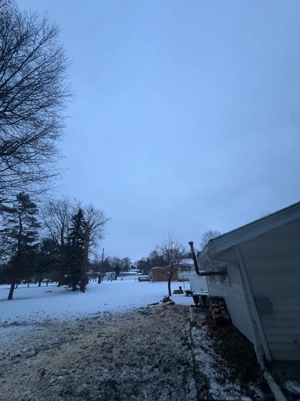 Professional tree installation crew in Western New York