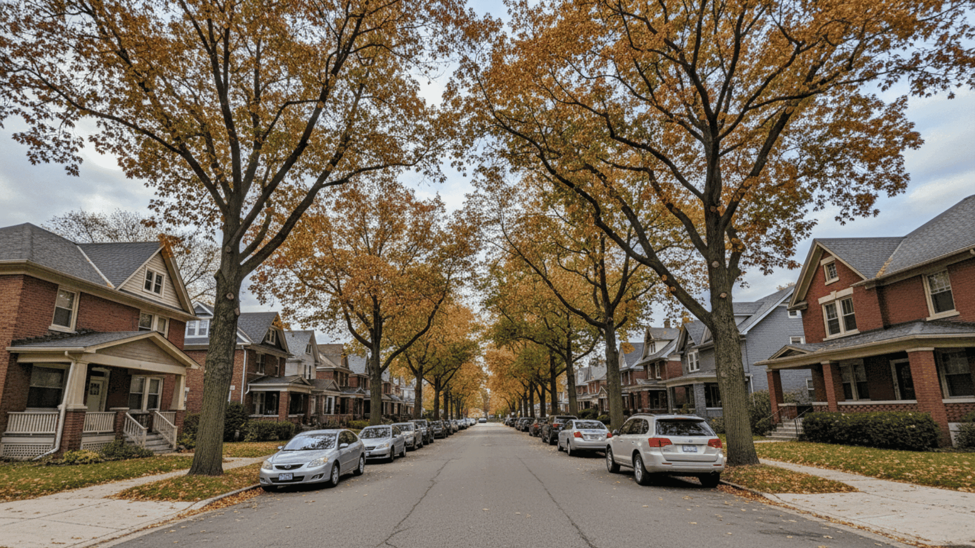 Tree service in Buffalo in Buffalo NY