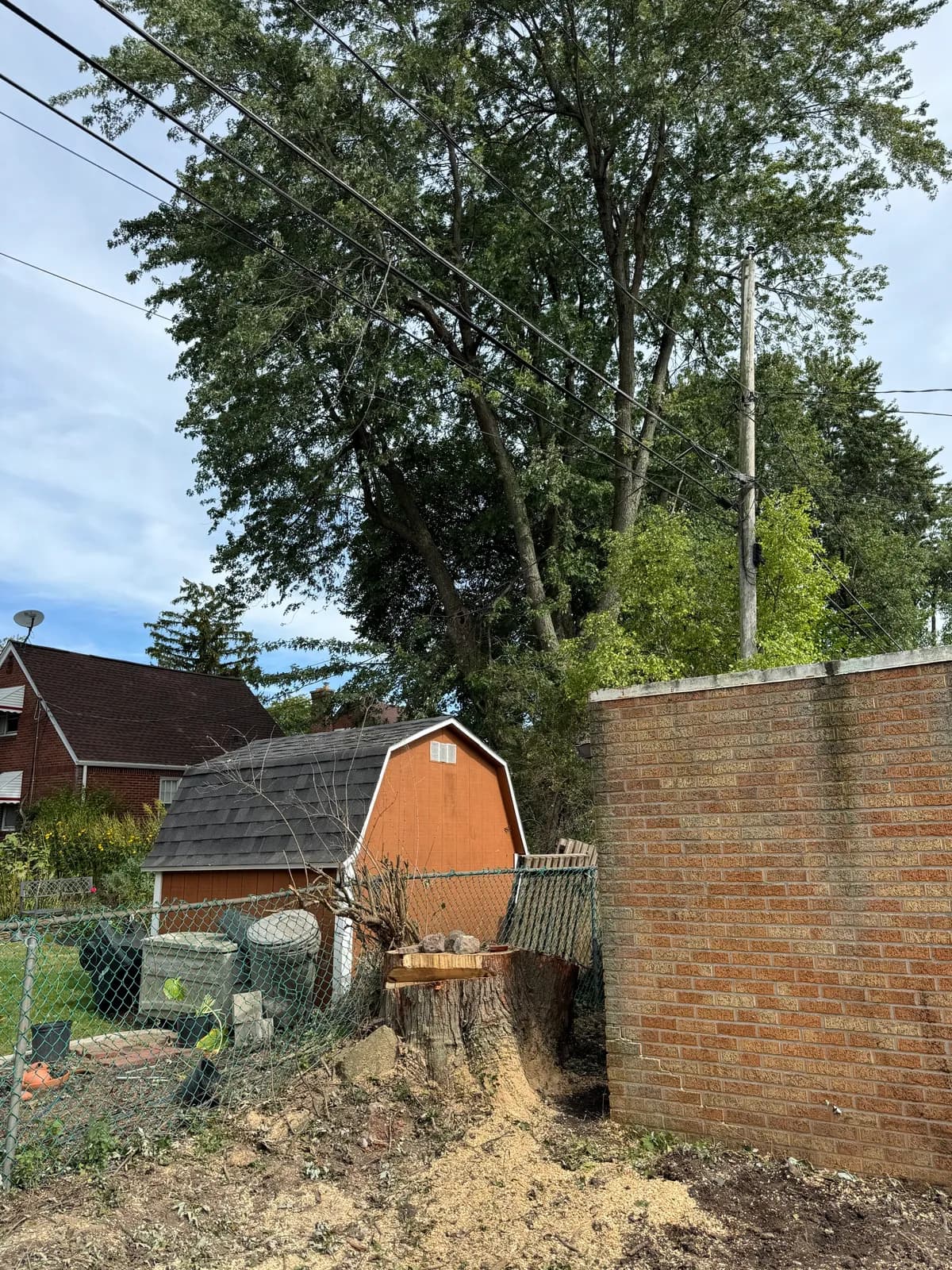 Large tree removal in a tight Buffalo NY lot near a shed and overhead power lines