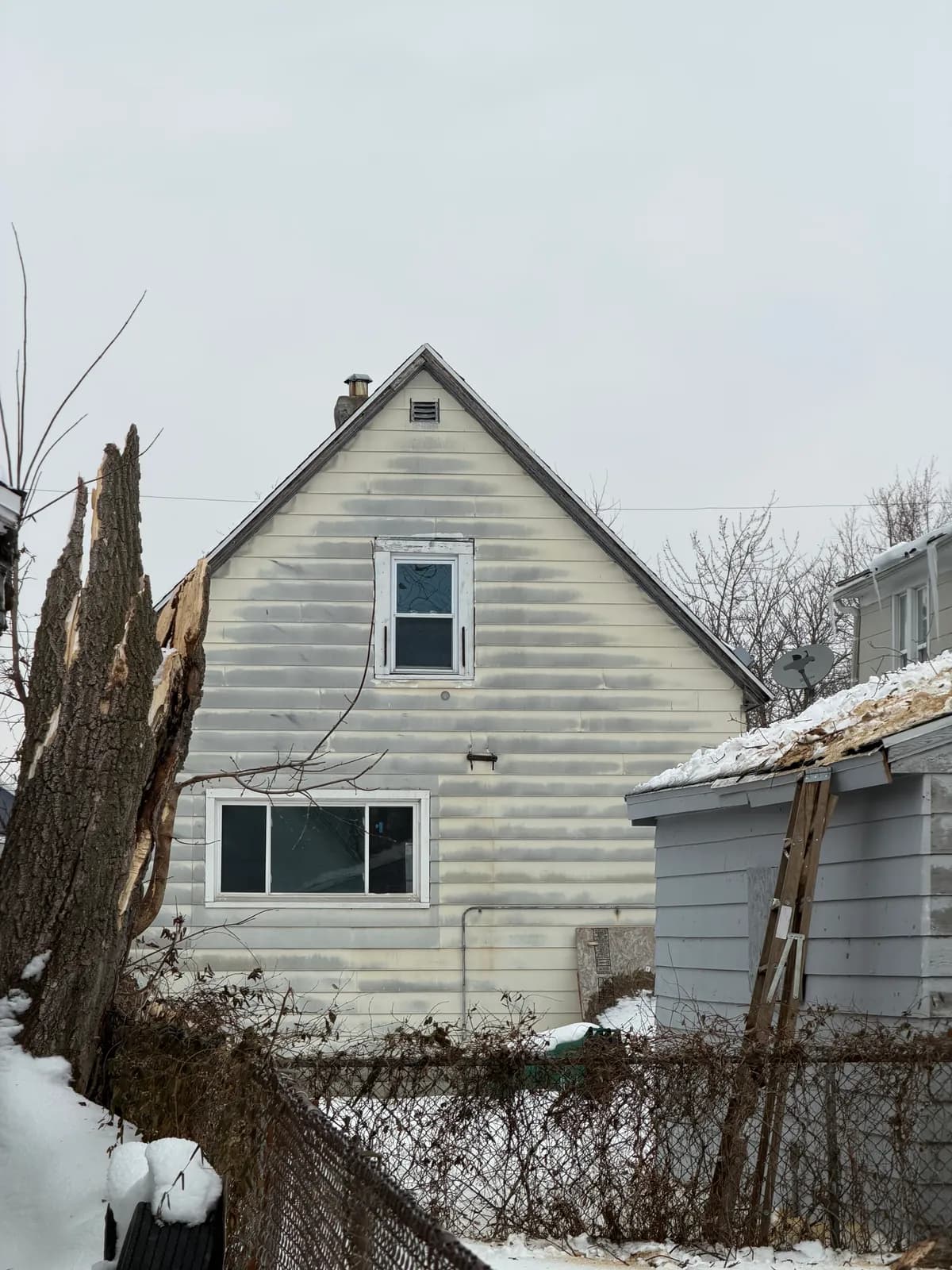 tree falling risk buffalo ny Buffalo NY