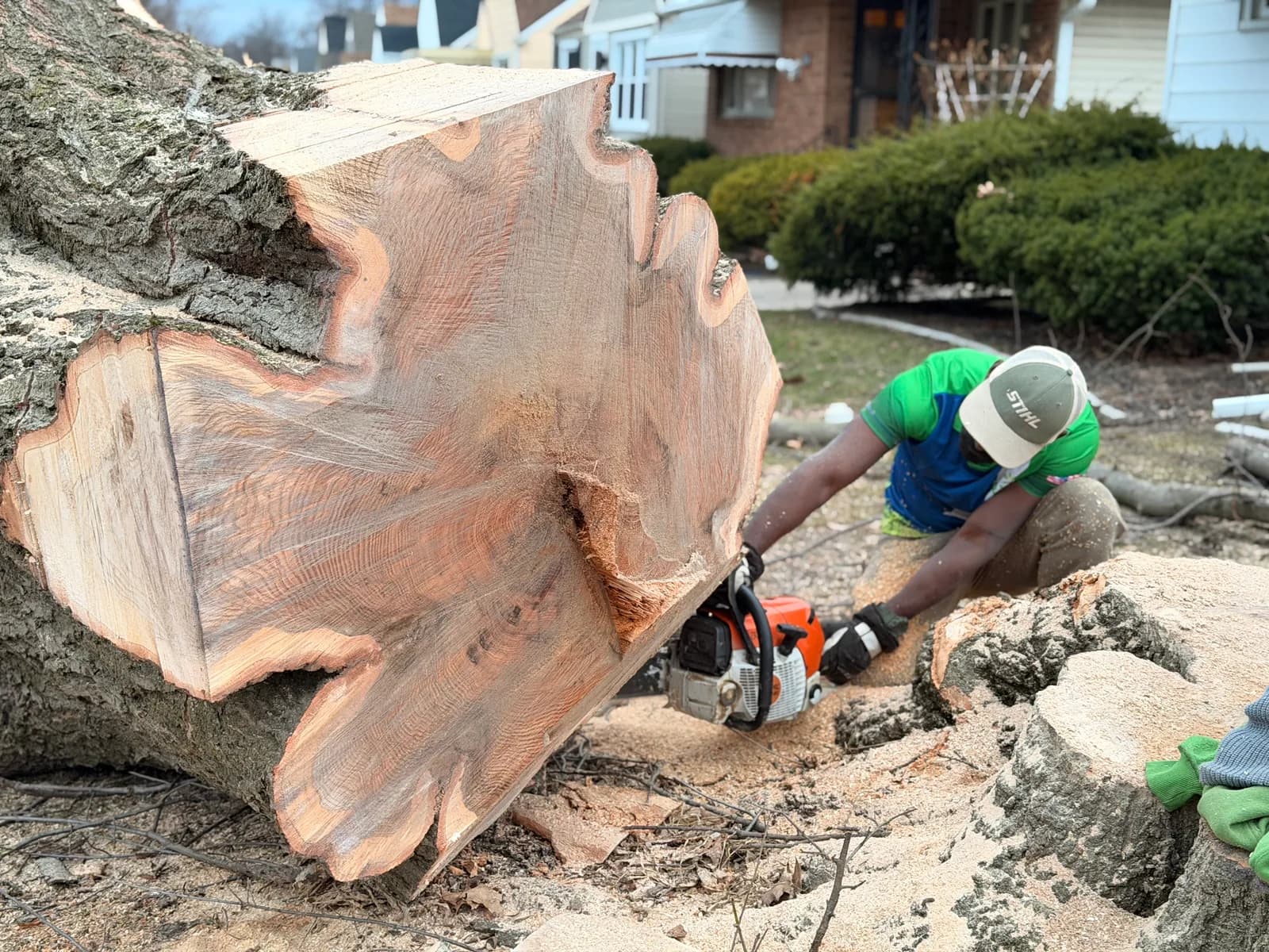 Emergency storm damage tree removal in Buffalo NY