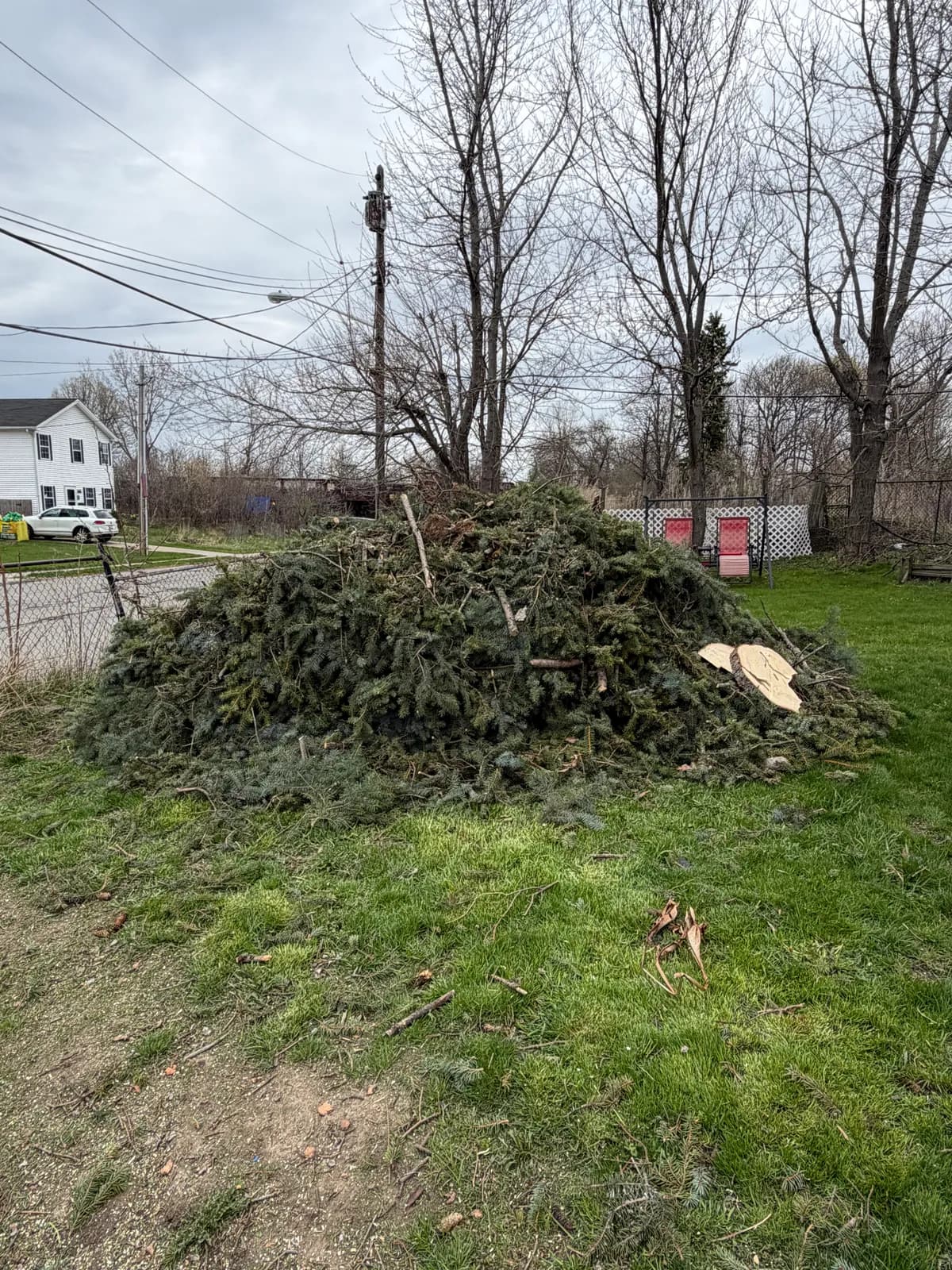 tree removal quote buffalo Buffalo NY