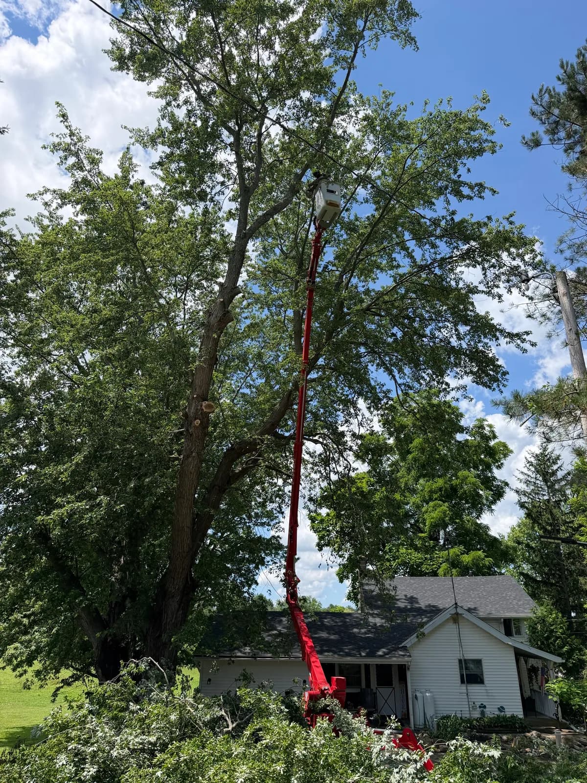 Tree service crew using an aerial boom lift to prune a large tree near a Buffalo NY home