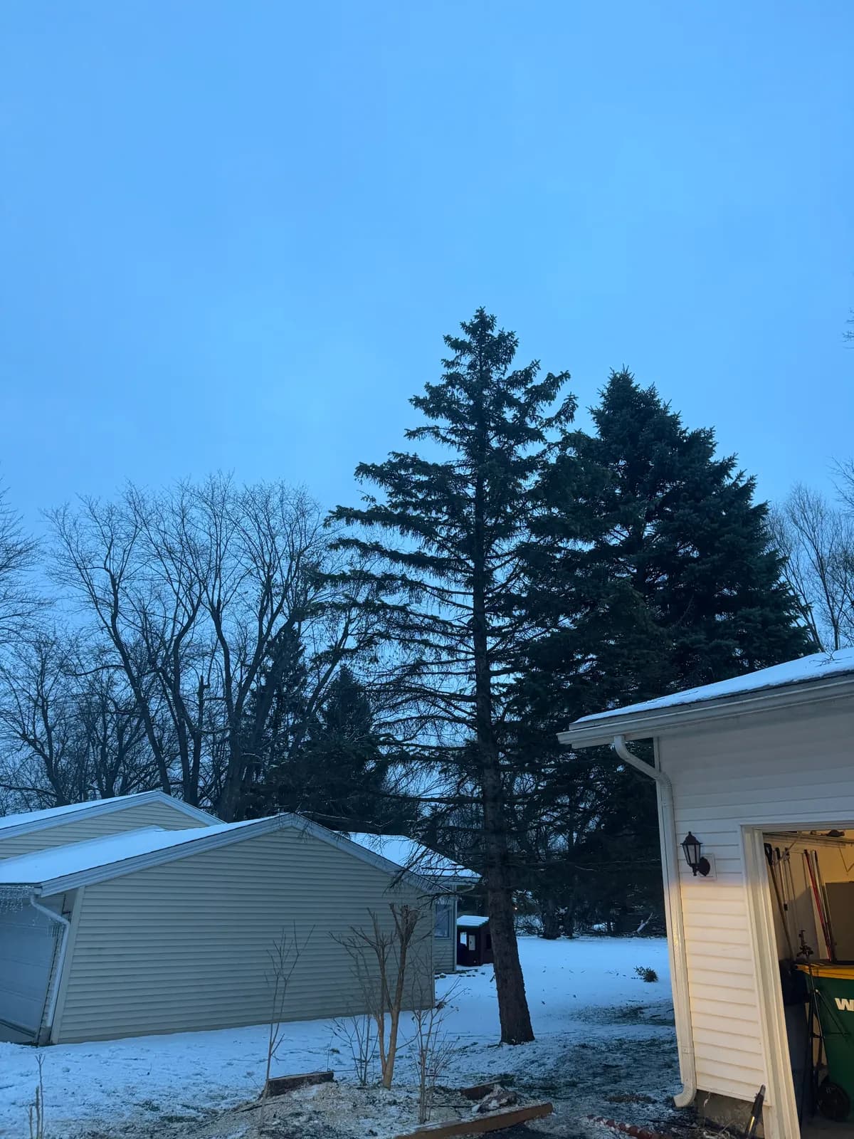 Professional tree service in west seneca crew in Western New York