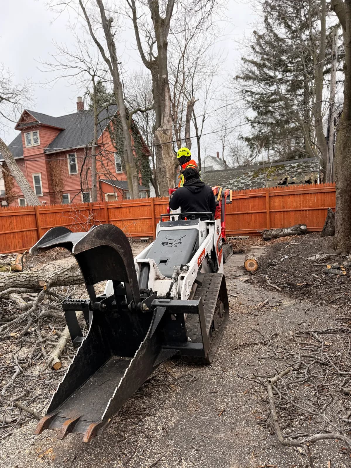 Professional tree trimming crew in Western New York