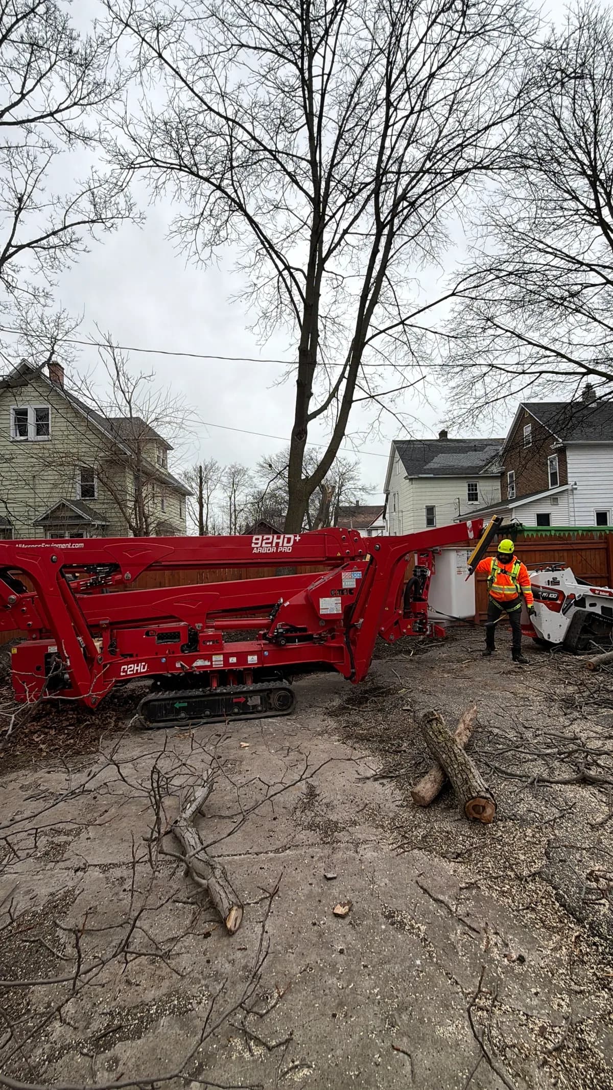 Professional tree service in depew crew in Western New York