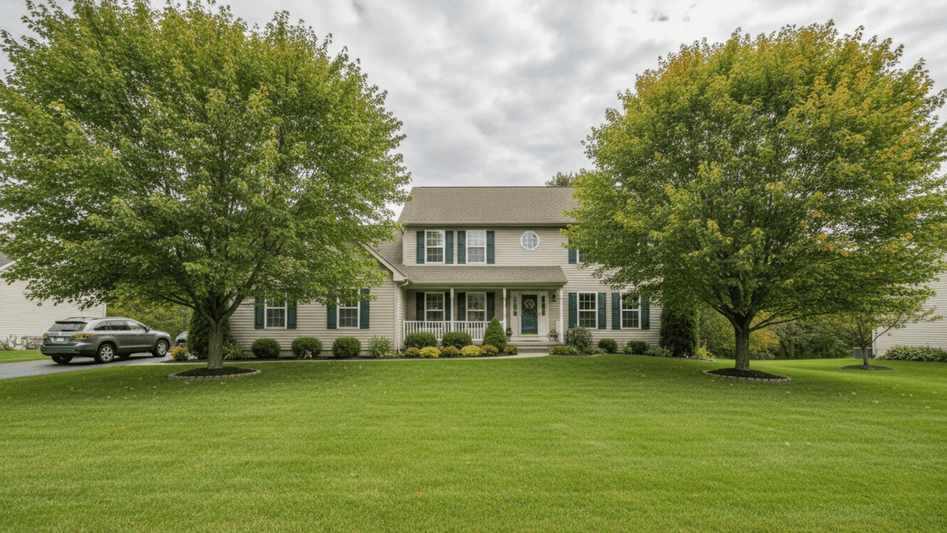Tree service in Amherst NY