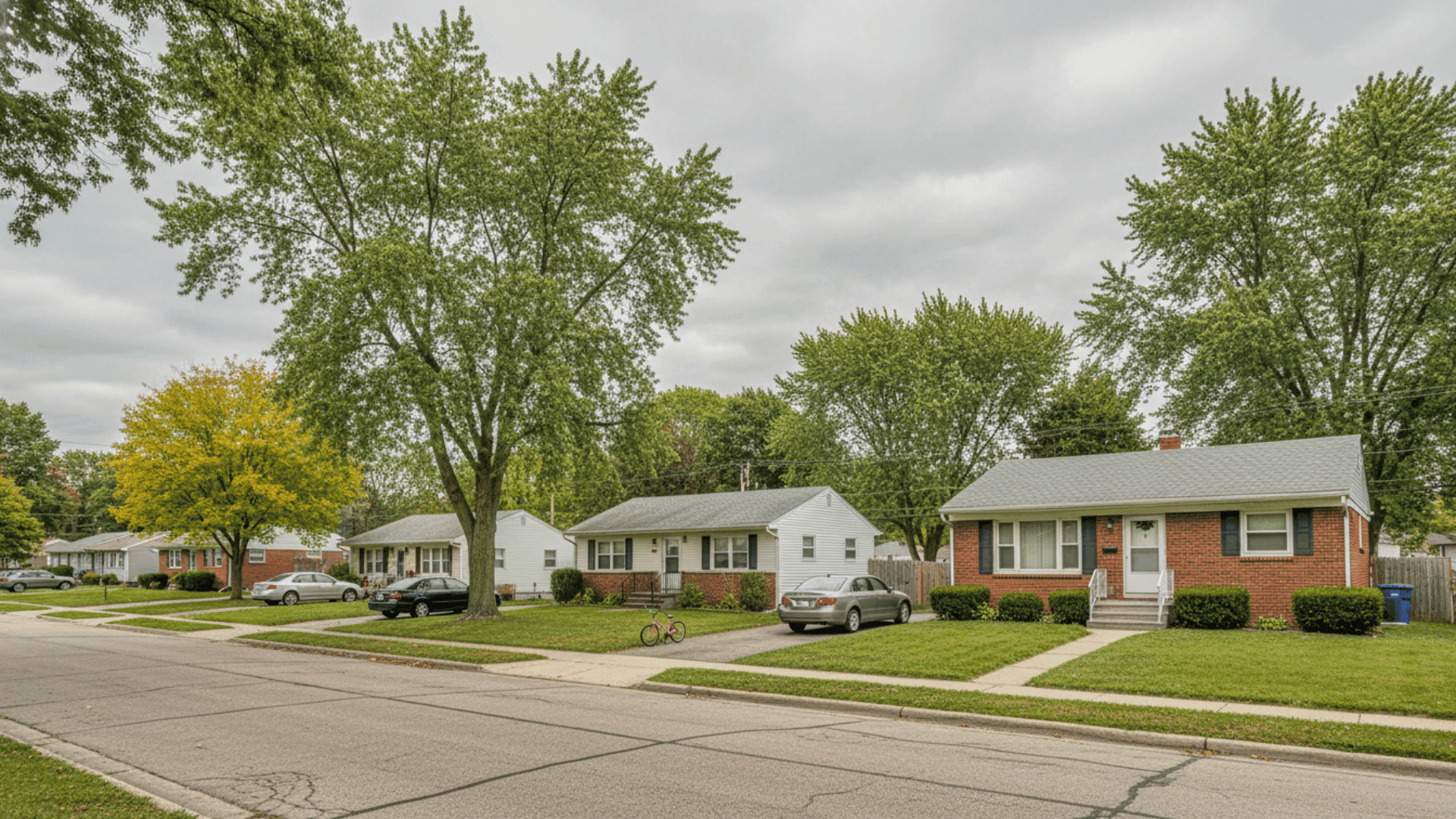Tree service in Cheektowaga NY