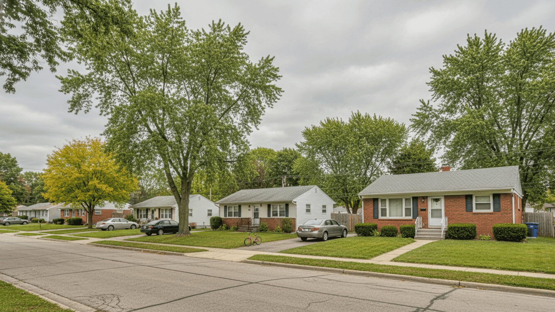 Tree service in Cheektowaga in Buffalo NY