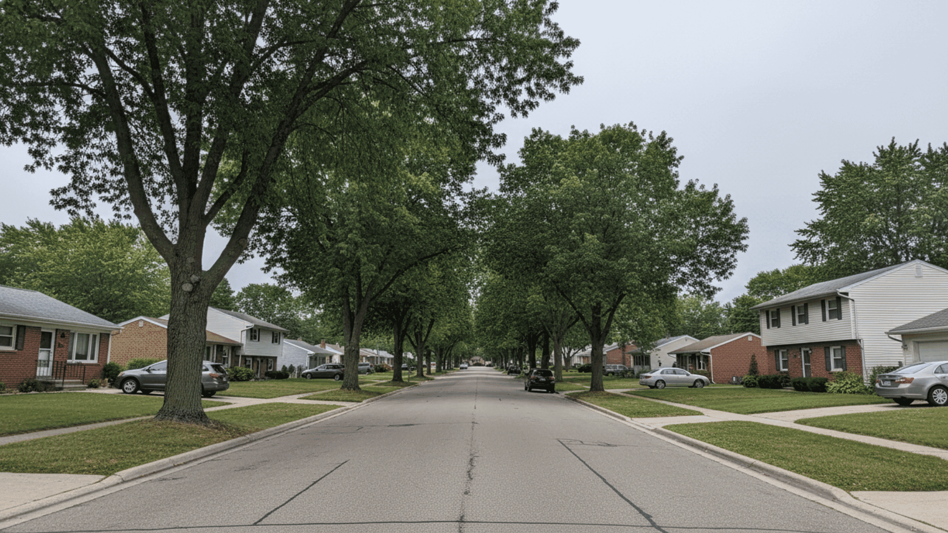 Tree service in Depew in Buffalo NY