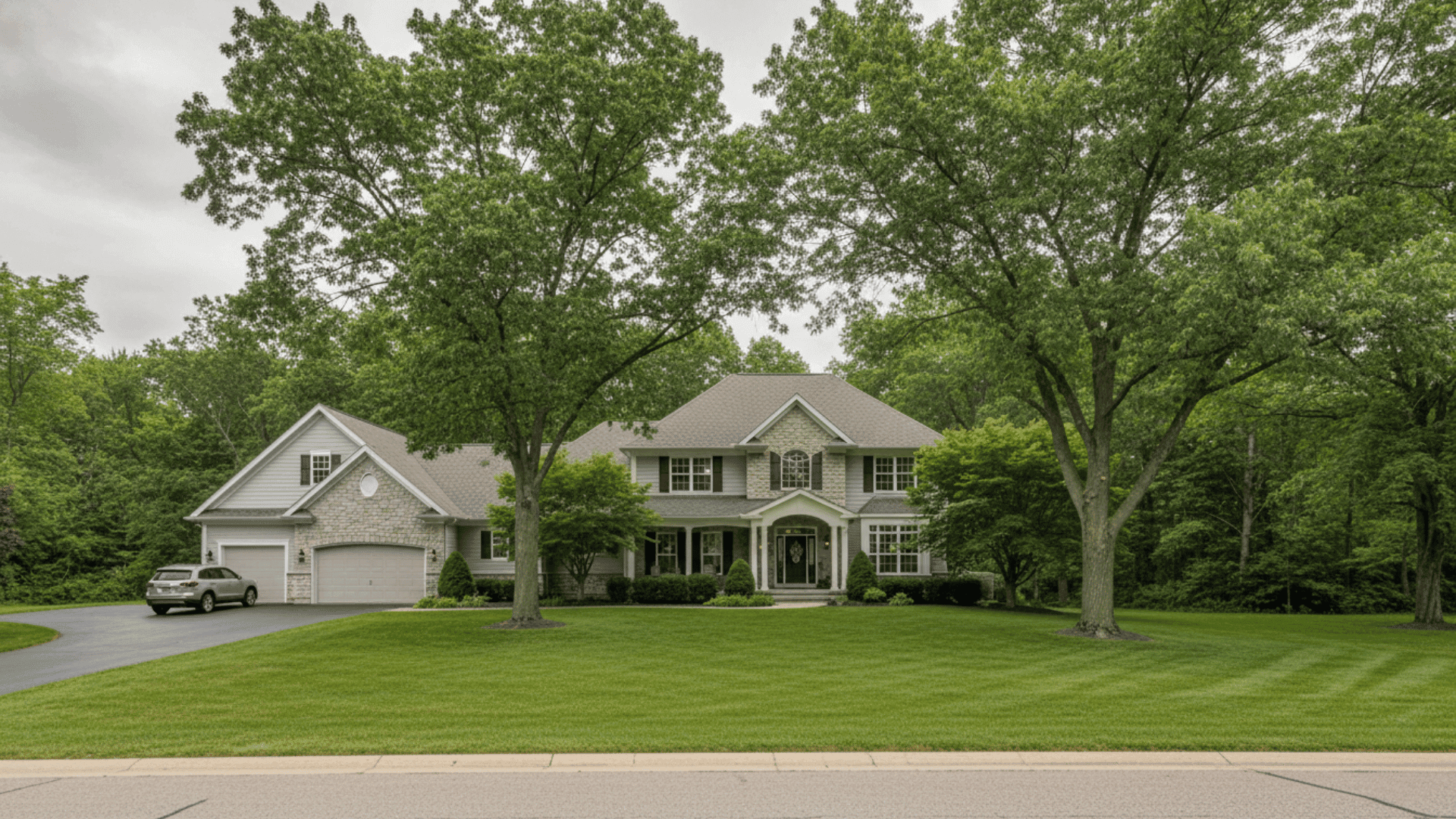 Tree service in East Amherst in Buffalo NY