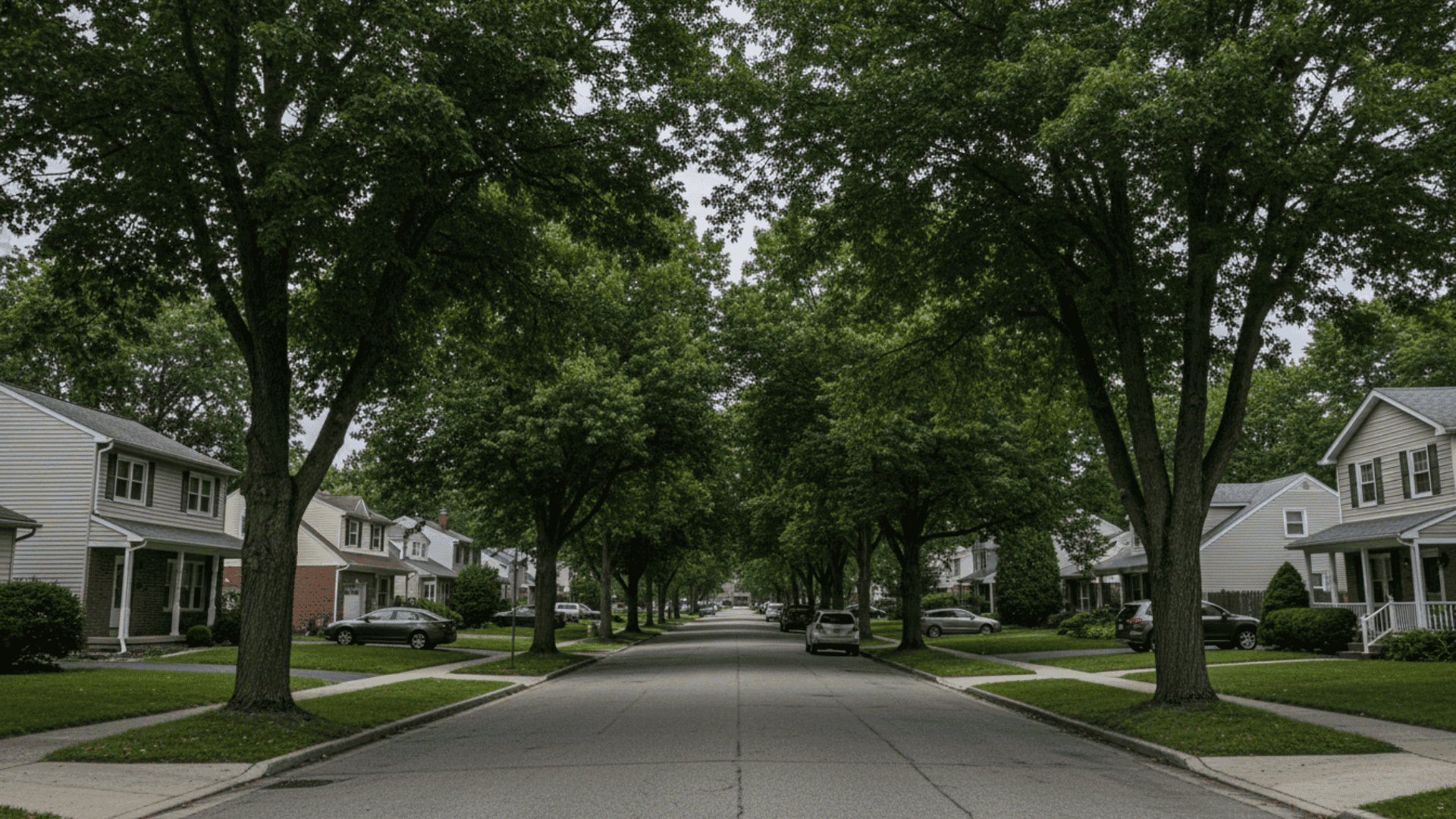 Tree service in Hamburg NY