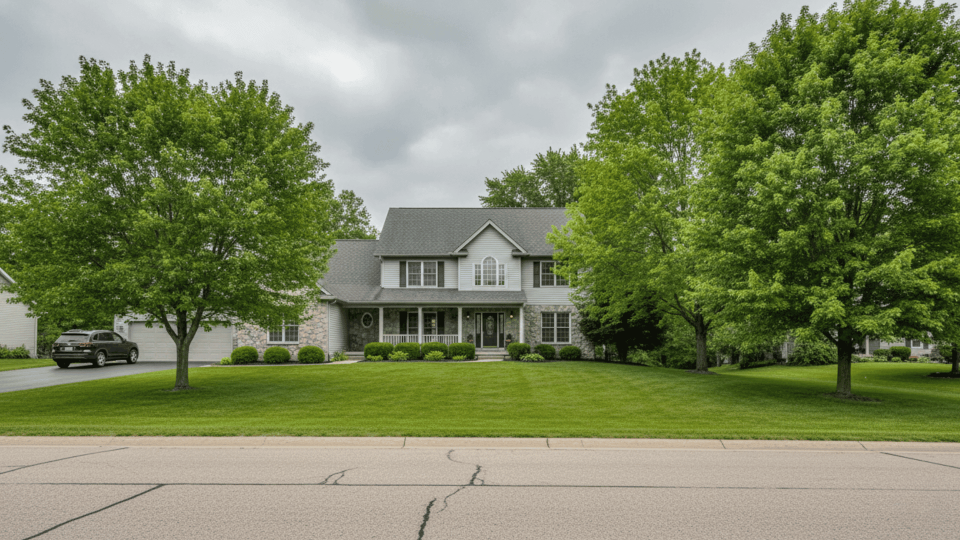 Tree service in Orchard Park in Buffalo NY