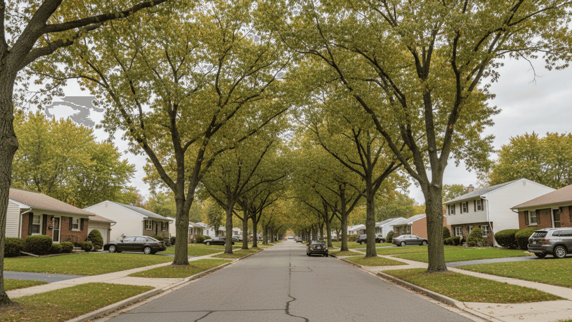 Tree service in Tonawanda NY