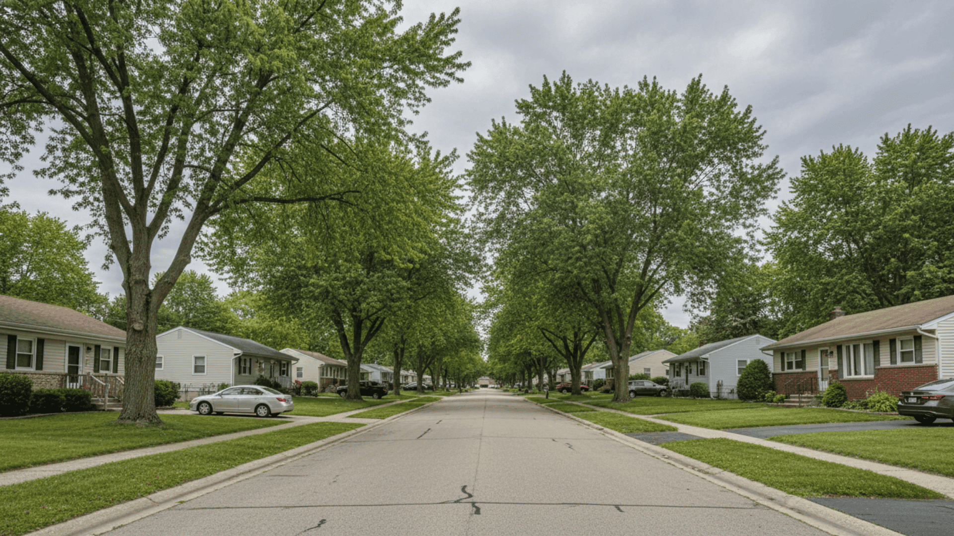 Tree service in West Seneca NY