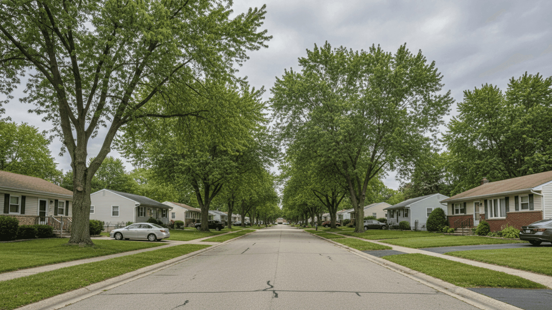 Tree service in West Seneca in Buffalo NY